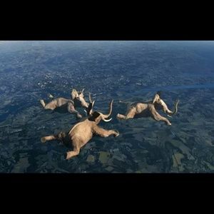 Meet your Posher, Desirae