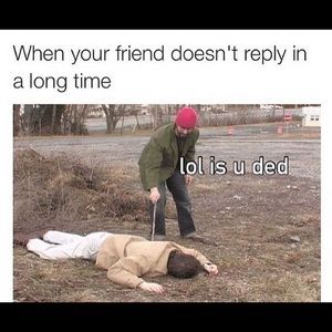 Meet your Posher, Karina