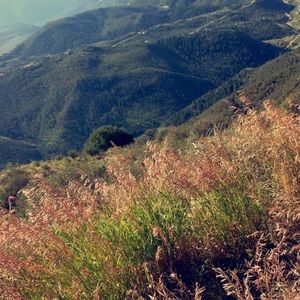 Meet your Posher, Jaylynn