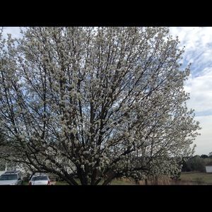 Meet your Posher, Gloria