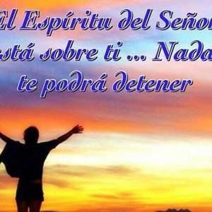 Meet your Posher, Arianna karina