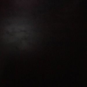 Meet your Posher, Nikita