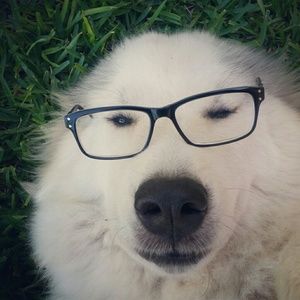 Meet your Posher, Serina