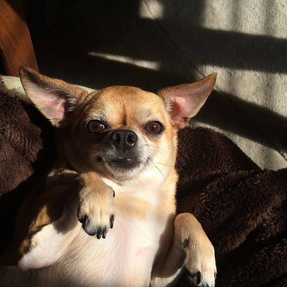 Meet your Posher, Lorena - Picture 1 of 1