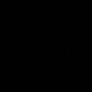 Meet your Posher, Kayli