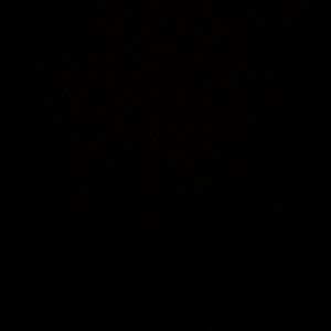 Meet your Posher, Sergio