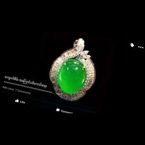 Meet your Posher, Grace