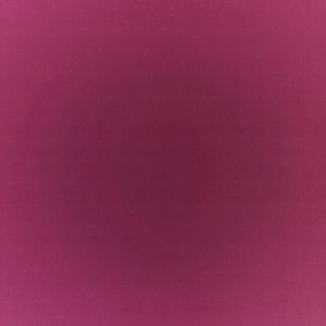 Meet your Posher, Rikayla