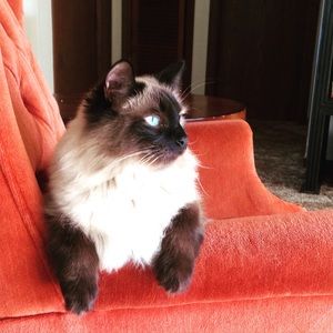 Meet your Posher, Danielle