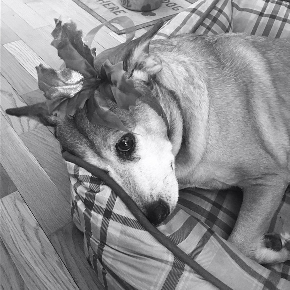 Meet Me - Picture 4 of 4