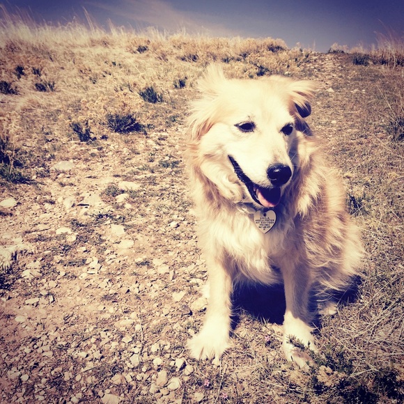 Meet your Posher, Angie