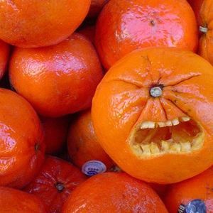 Meet your Posher, Nozomi