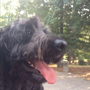 Meet your Posher, Becky