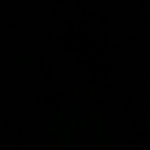 Meet your Posher, Elia