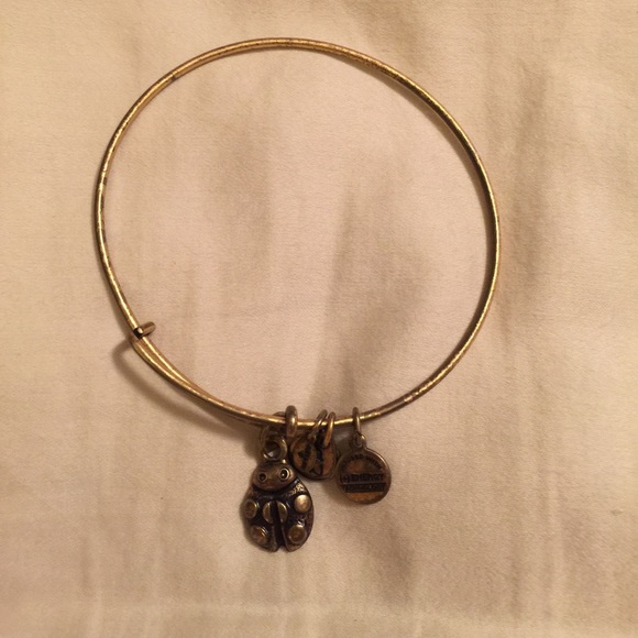 Alex and Ani ladybug bracelet.