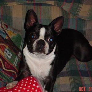 Meet your Posher, Rhonda