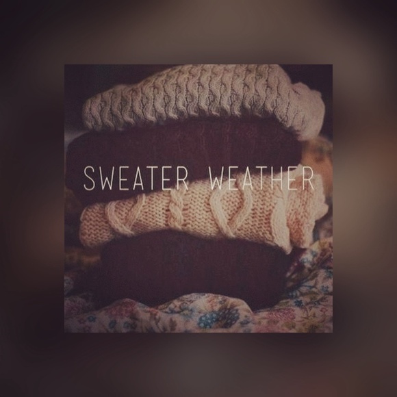 ! New sweater listings are here !