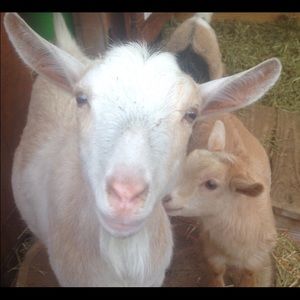 Meet your Posher, Brett