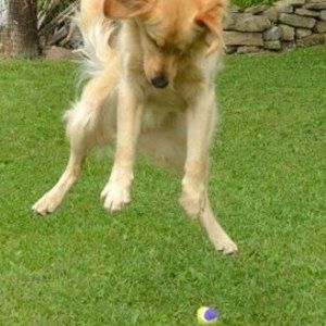 Meet your Posher, Sherry