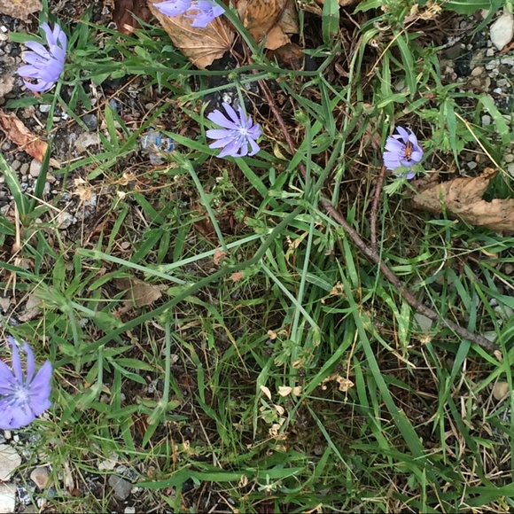 Meet your Posher, Bianca - Picture 1 of 1