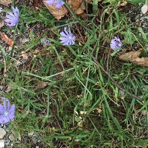 Meet your Posher, Bianca