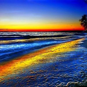 Meet your Posher, Danaya