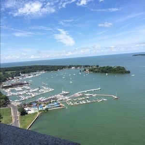 Meet your Posher, Amelia