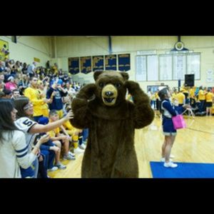 Meet your Posher, Pam