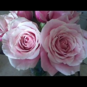 Meet your Posher, Kim