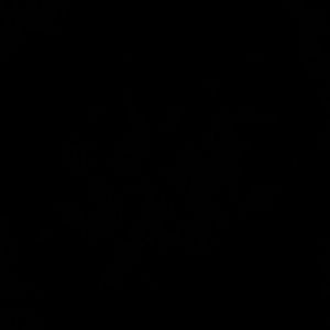 Meet your Posher, Zoe