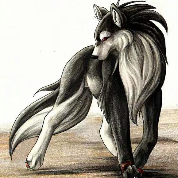 Meet your Posher, Oscar