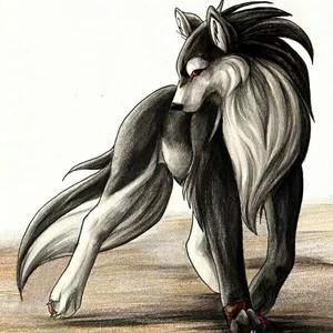 Meet your Posher, Oscar