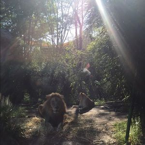 Meet your Posher, Gabriel