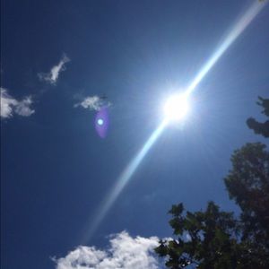 Meet your Posher, Gianna