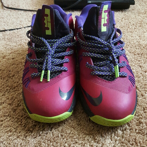 Nike Air Max LeBrons