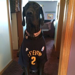 Meet your Posher, Jillian