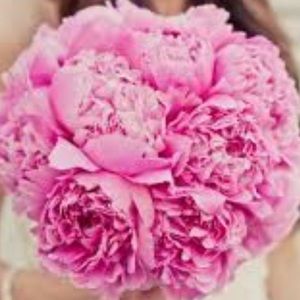 Meet your Posher, Latisha