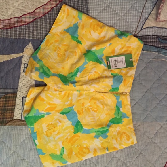 🎉SOLD🎉 First Impression Deenie Shorts - Picture 3 of 4