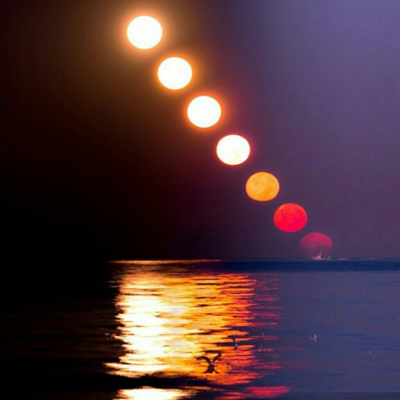 Meet your Posher, Melissa - Picture 1 of 1