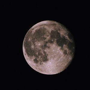 Meet your Posher, Evan