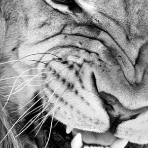 Meet your Posher, Seth