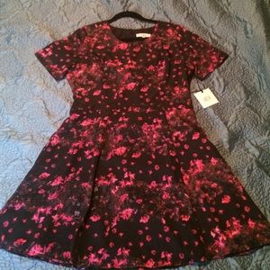 Jack by BB Dakota Hanna Black Floral Print Dress