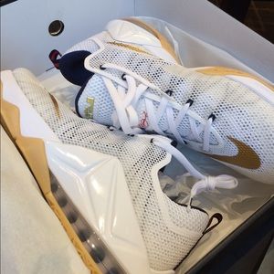 Lebron 12 lows and Jordan future