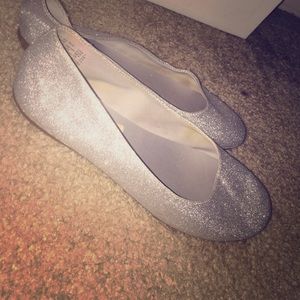 Silver Shining Flats