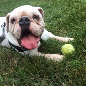 Meet your Posher, Paige