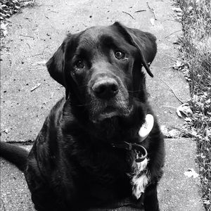 Meet your Posher, Anna