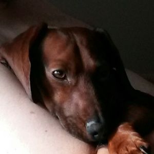 Meet your Posher, Anna