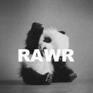 Meet your Posher, Hailey