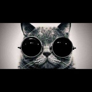 Meet your Posher, Shawna