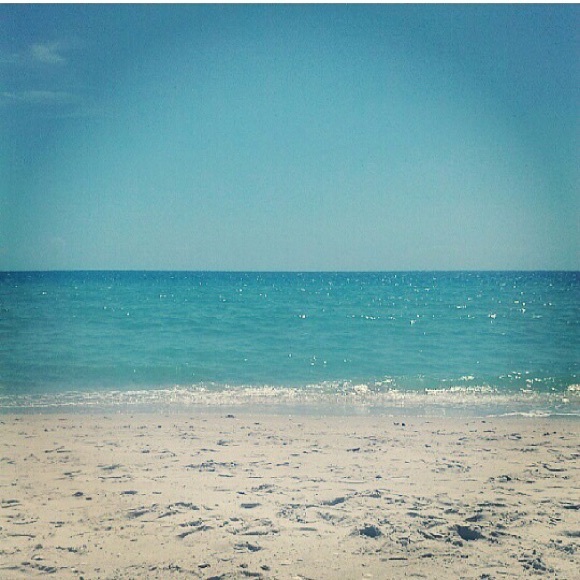 Meet your Posher, Danielle - Picture 1 of 1